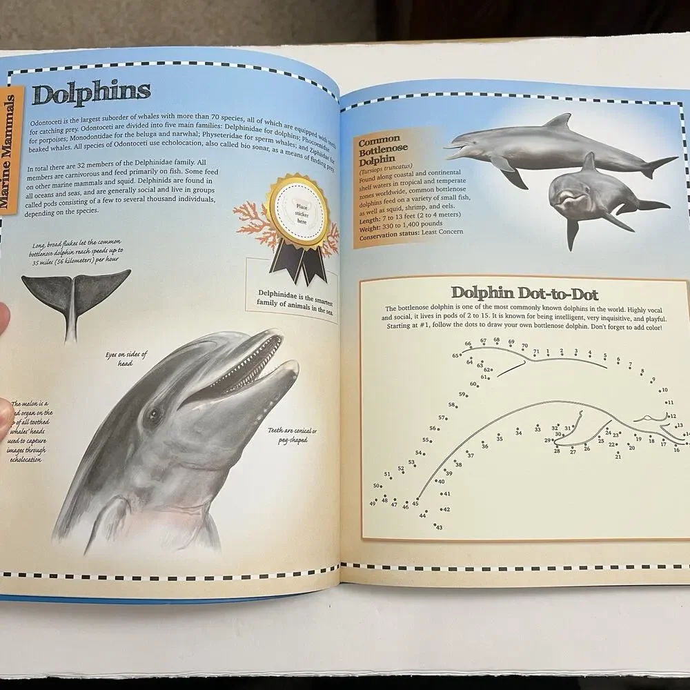 Marine Animals Encyclopedia Activity Journal Includes Stickers and Poster